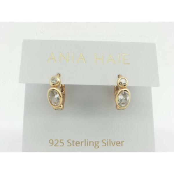 Silver Earrings Thomas A. Davis Jewelers Holland, MI
