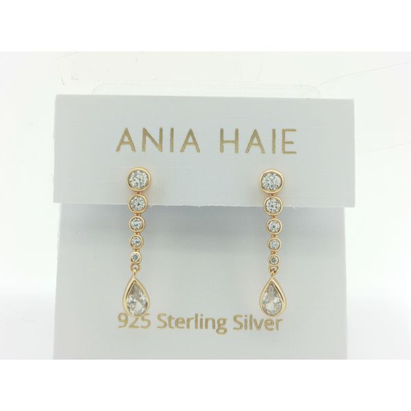 Silver Earrings Thomas A. Davis Jewelers Holland, MI