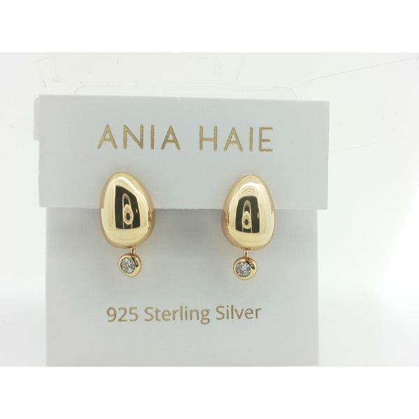 Silver Earrings Thomas A. Davis Jewelers Holland, MI