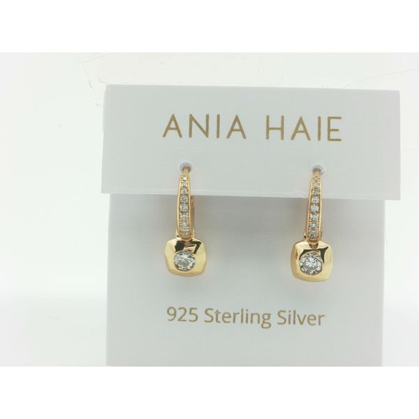Silver Earrings Thomas A. Davis Jewelers Holland, MI