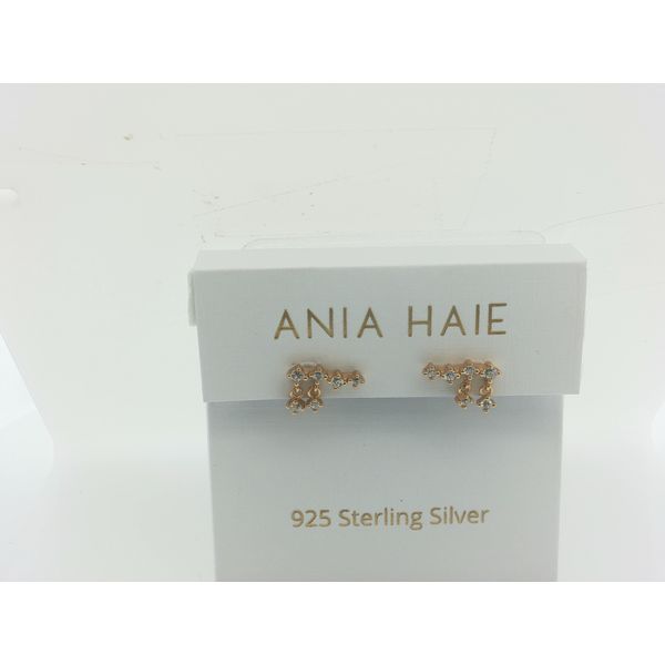 Silver Earrings Thomas A. Davis Jewelers Holland, MI