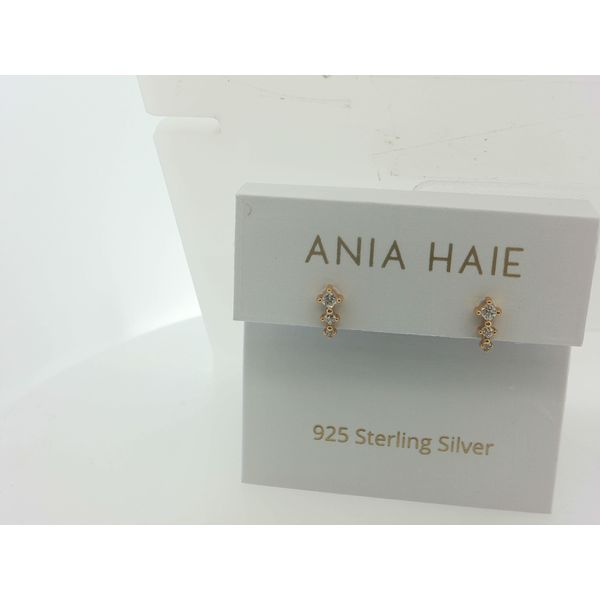 Silver Earrings Thomas A. Davis Jewelers Holland, MI