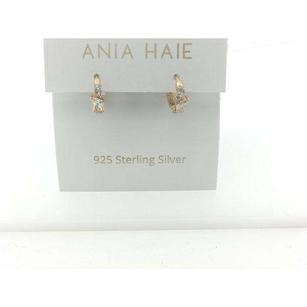 Silver Earrings Thomas A. Davis Jewelers Holland, MI