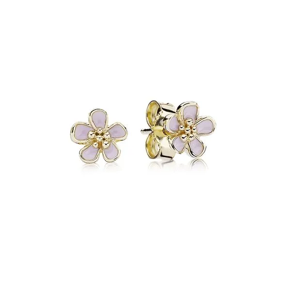 14K Yellow Gold Pandora Earrings Tipton's Fine Jewelry Lawton, OK