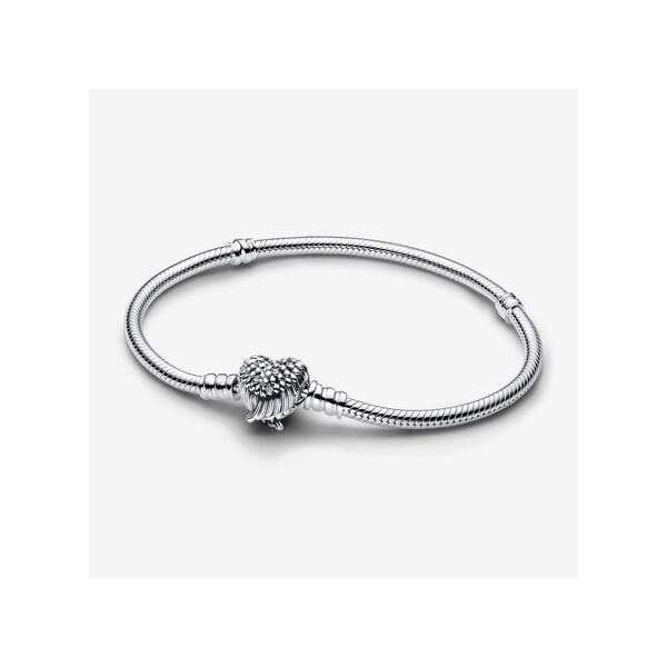 Sterling Silver Pandora Bracelet - Main Image