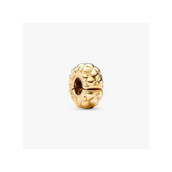 Studded Clip Pandora Charm Tipton's Fine Jewelry Lawton, OK