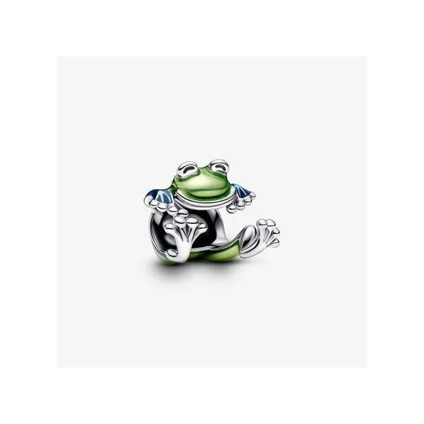 Sterling Silver Climbing Frog Charm Tipton's Fine Jewelry Lawton, OK