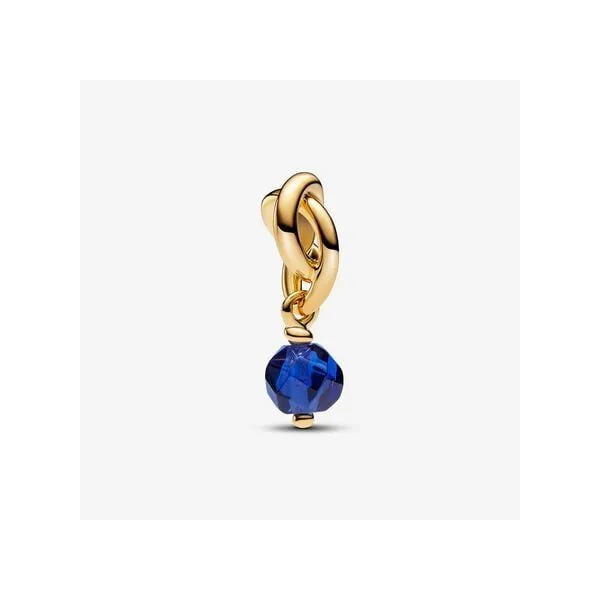 Platinum Pandora Charm Tipton's Fine Jewelry Lawton, OK