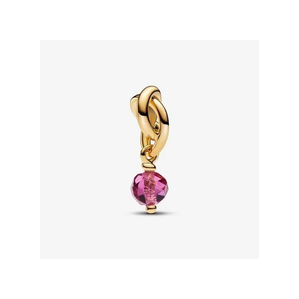Platinum Pandora Charm Tipton's Fine Jewelry Lawton, OK