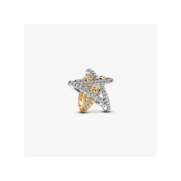 Platinum Pandora Charm Tipton's Fine Jewelry Lawton, OK