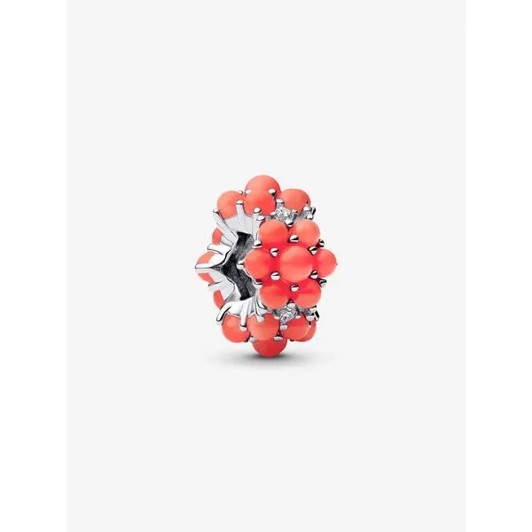 Pandora Charm Tipton's Fine Jewelry Lawton, OK