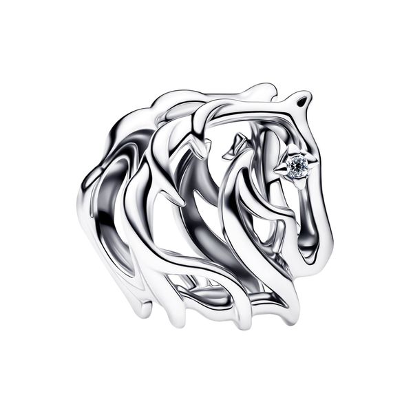 Pandora Charm Tipton's Fine Jewelry Lawton, OK