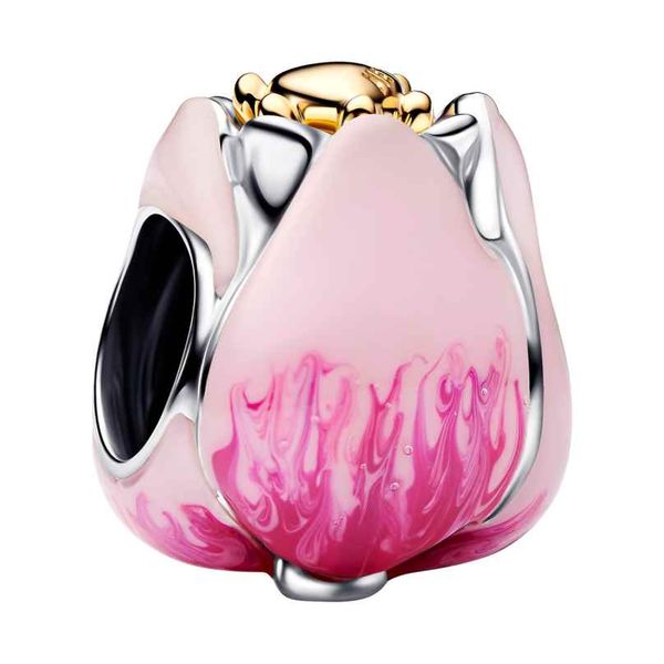 Pandora Charm Tipton's Fine Jewelry Lawton, OK