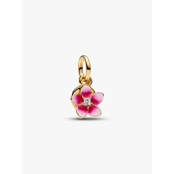 Pandora Charm Tipton's Fine Jewelry Lawton, OK