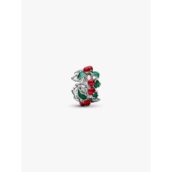 Pandora Charm Tipton's Fine Jewelry Lawton, OK