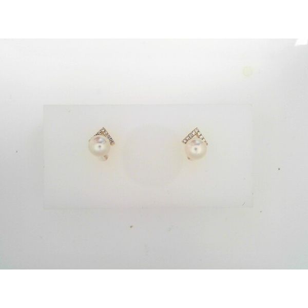 Precious Metal Earrings T.J.'s Fine Jewelry Carbondale, IL