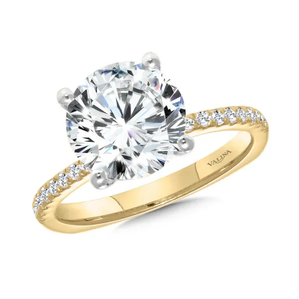 Engagement Ring Timmreck & McNicol Jewelers McMinnville, OR