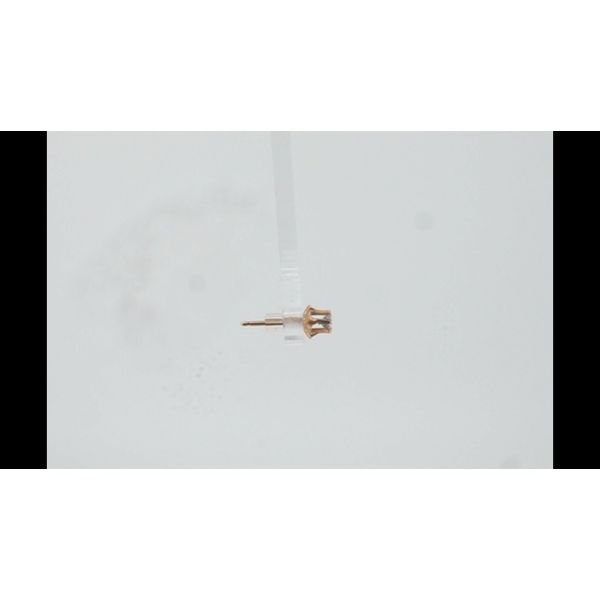 Earrings Image 2 Timmreck & McNicol Jewelers McMinnville, OR