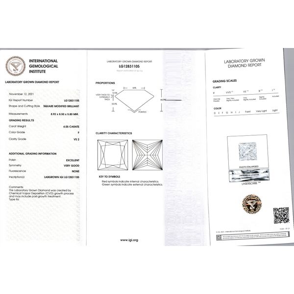 14K White Gold Lab Grown Princess Cut Diamond Ring Image 2 Tom Cook Jeweler, Inc. Daytona Beach, FL