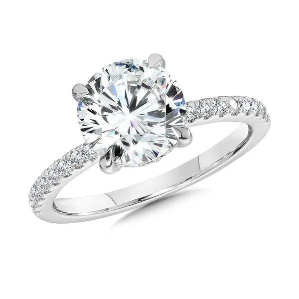 14K White Gold Lab Grown Hidden Halo Diamond Ring Tom Cook Jeweler, Inc. Daytona Beach, FL