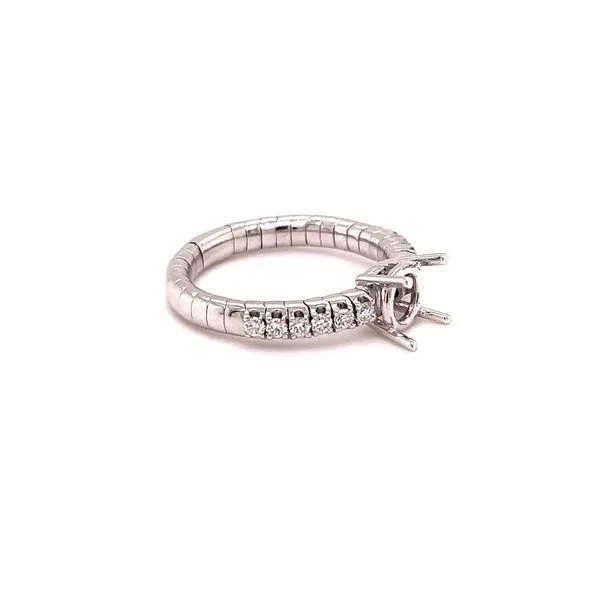 Diamond Semi-Mount Ring Tom Cook Jeweler, Inc. Daytona Beach, FL