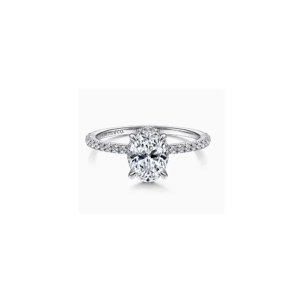 Diamond Semi-Mount Ring Tom Cook Jeweler, Inc. Daytona Beach, FL