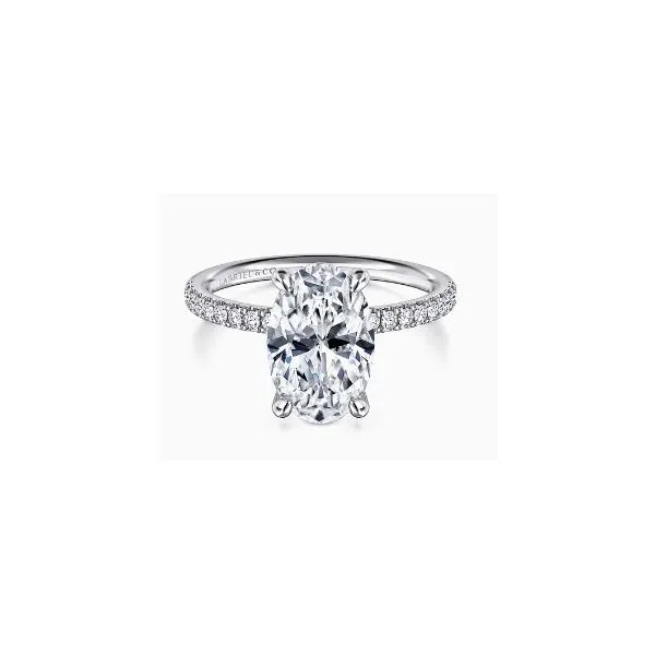 Diamond Semi-Mount Ring Tom Cook Jeweler, Inc. Daytona Beach, FL