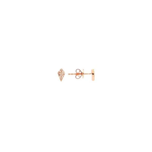 Diamond Earrings Tom Cook Jeweler, Inc. Daytona Beach, FL