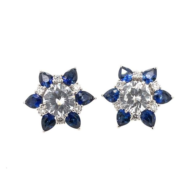 Diamond Earrings Tom Cook Jeweler, Inc. Daytona Beach, FL