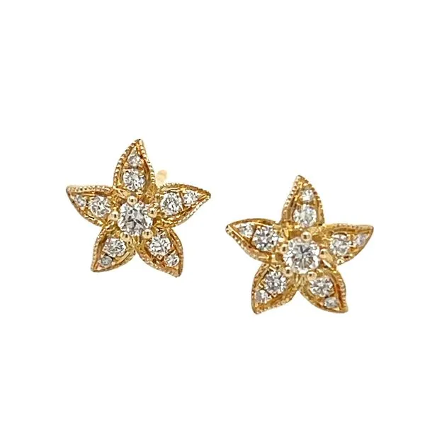 Diamond Earrings Tom Cook Jeweler, Inc. Daytona Beach, FL