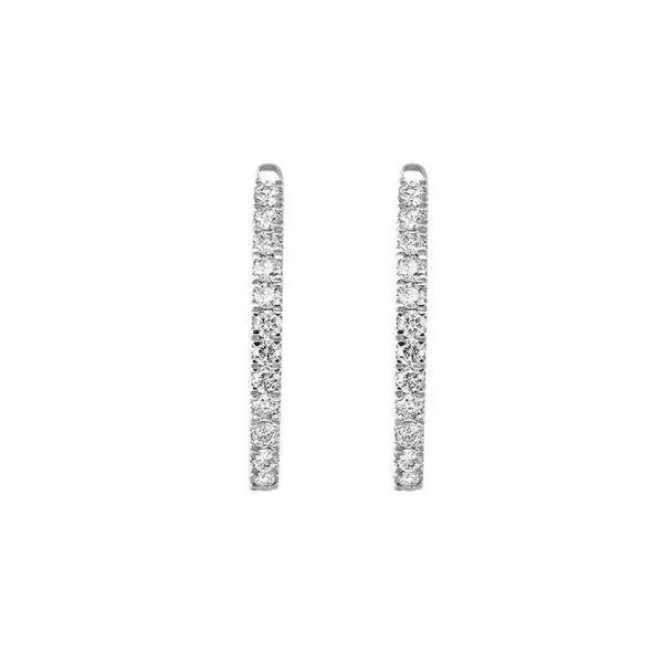 14K White Gold Diamond Hoop Earrings Tom Cook Jeweler, Inc. Daytona Beach, FL