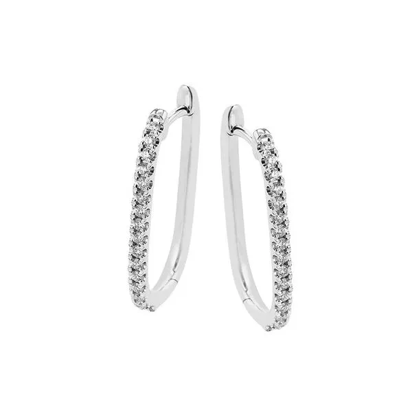 18K White Gold Diamond Hoop Earrings Tom Cook Jeweler, Inc. Daytona Beach, FL