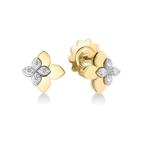 18K Yellow and White Gold Diamond Earrings Tom Cook Jeweler, Inc. Daytona Beach, FL
