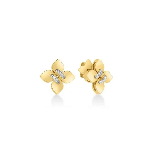 18K Yellow and White Gold Diamond Earrings Tom Cook Jeweler, Inc. Daytona Beach, FL