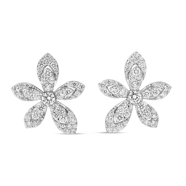 18K White Gold Diamond Earrings Tom Cook Jeweler, Inc. Daytona Beach, FL