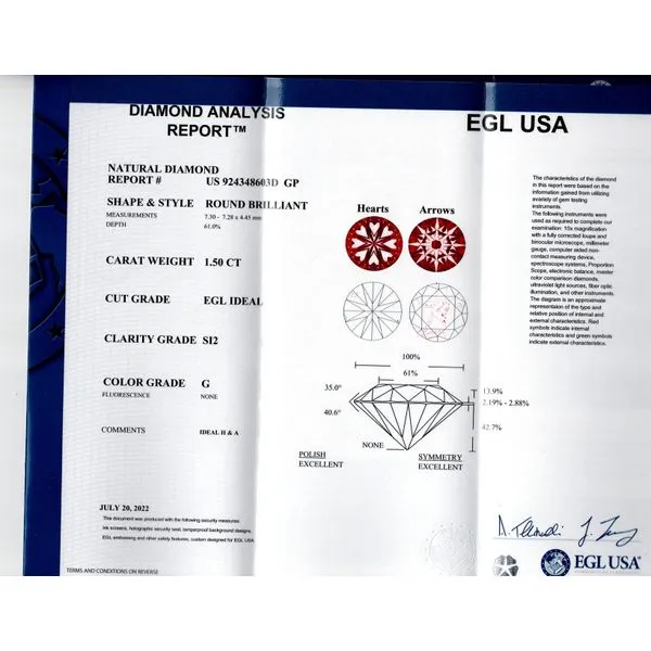 14 Karat White Gold Diamond Stud Earrings Image 3 Tom Cook Jeweler, Inc. Daytona Beach, FL