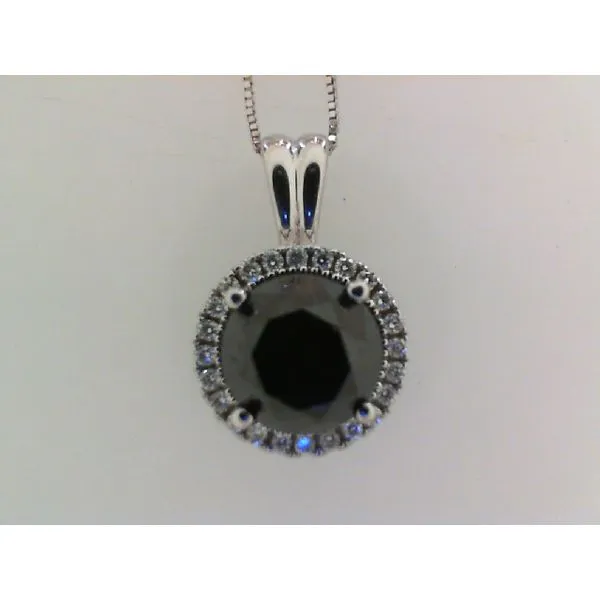 Diamond Necklace/Pendant Tom Cook Jeweler, Inc. Daytona Beach, FL