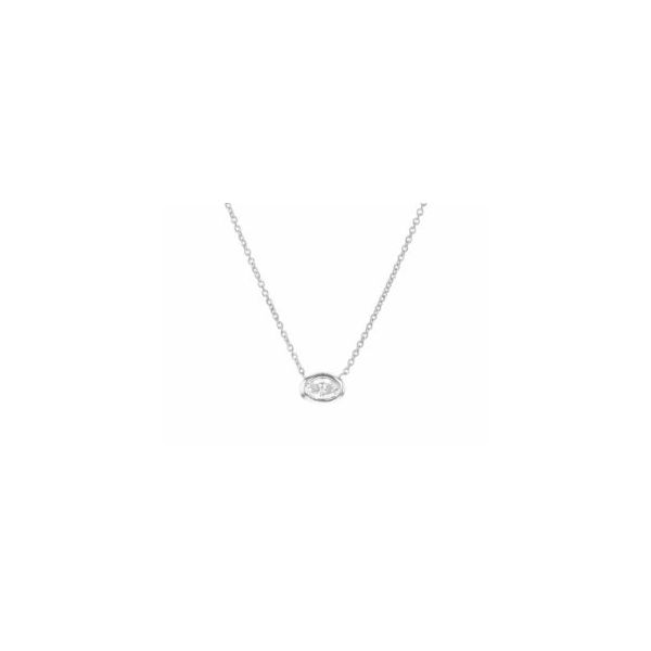 Diamond Necklace/Pendant Tom Cook Jeweler, Inc. Daytona Beach, FL