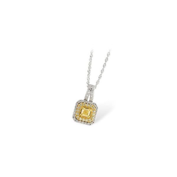 Diamond Necklace/Pendant Tom Cook Jeweler, Inc. Daytona Beach, FL