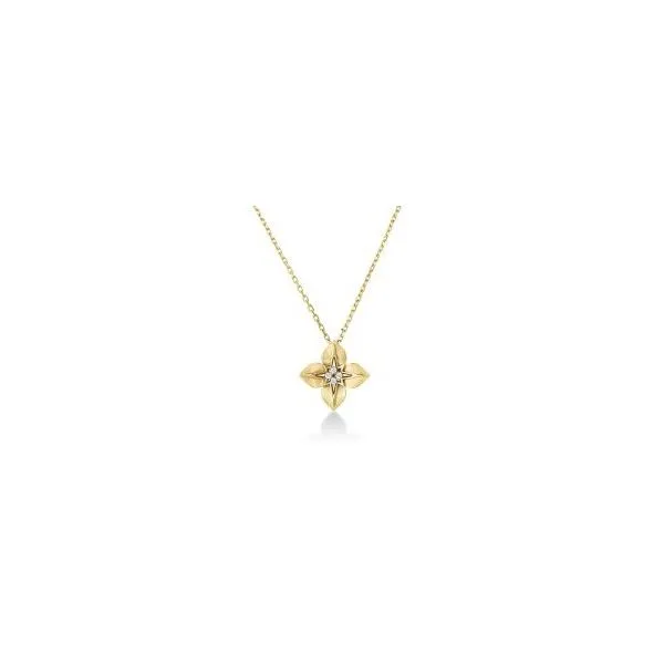 Diamond Necklace/Pendant Tom Cook Jeweler, Inc. Daytona Beach, FL