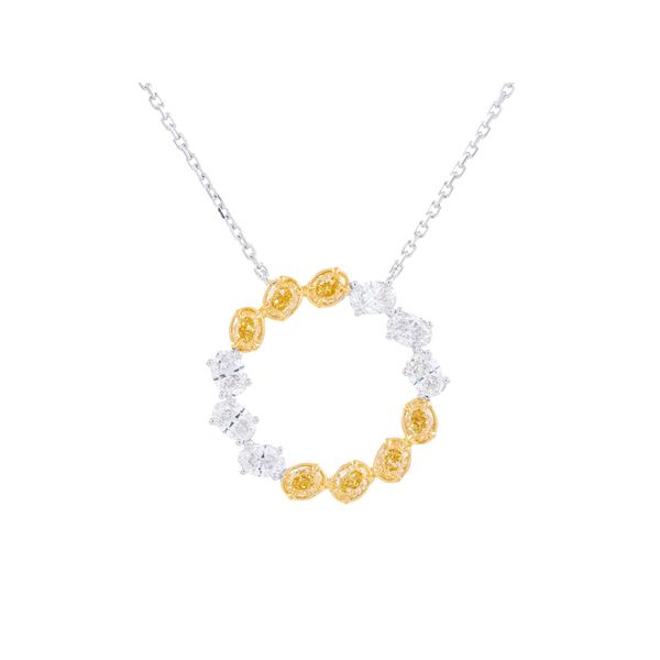18 Karat Yellow and White Diamond Circle Pendant Necklace Tom Cook Jeweler, Inc. Daytona Beach, FL