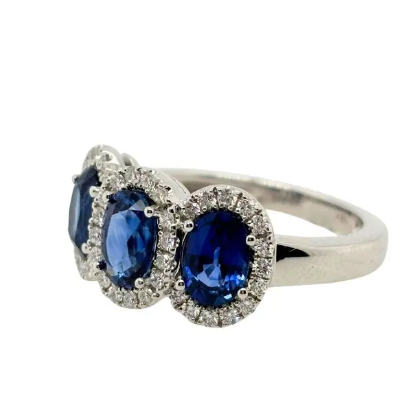 18 Karat White Gold Sapphire and Diamond Fashion Ring Image 2 Tom Cook Jeweler, Inc. Daytona Beach, FL