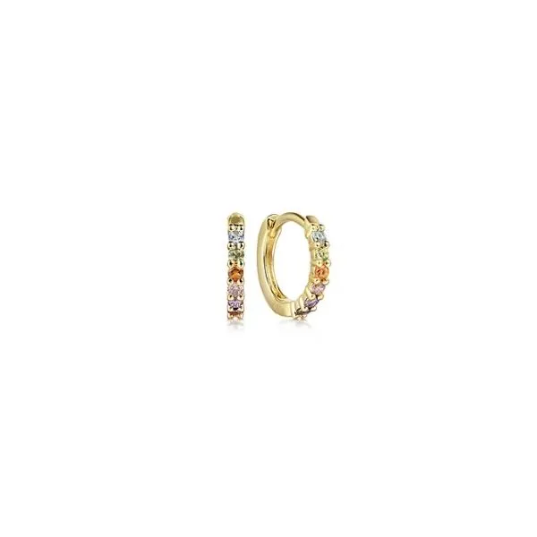 Colored Stone Earrings Tom Cook Jeweler, Inc. Daytona Beach, FL