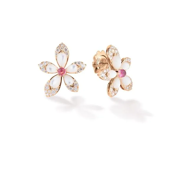 Colored Stone Earrings Tom Cook Jeweler, Inc. Daytona Beach, FL