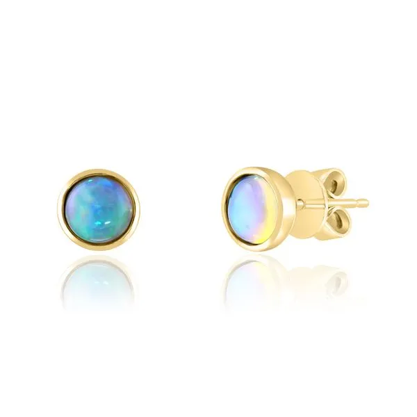 Colored Stone Earrings Tom Cook Jeweler, Inc. Daytona Beach, FL