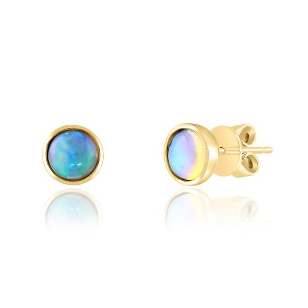 14K Yellow Gold Bezel Set Opal Stud Earrings Tom Cook Jeweler, Inc. Daytona Beach, FL