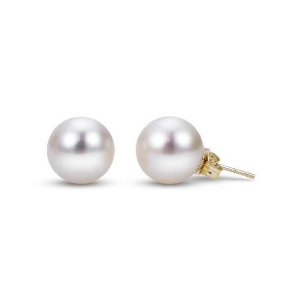 Pearl Earrings Tom Cook Jeweler, Inc. Daytona Beach, FL