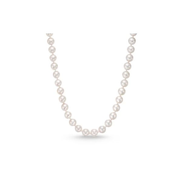 Pearl Necklace Tom Cook Jeweler, Inc. Daytona Beach, FL