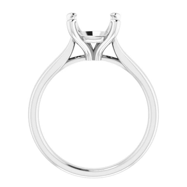 Semi-Mount Ring Image 2 Tom Cook Jeweler, Inc. Daytona Beach, FL