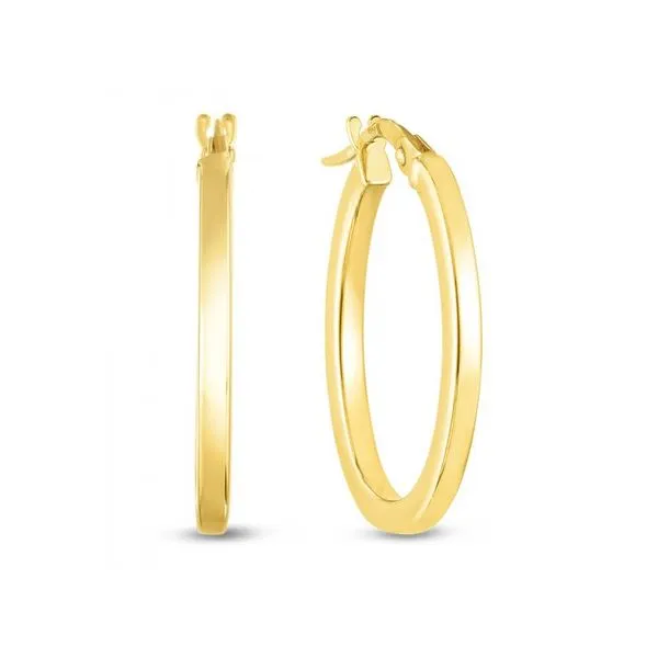 Gold Earrings Tom Cook Jeweler, Inc. Daytona Beach, FL